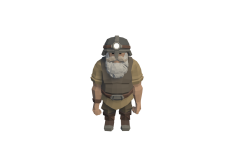 43_Chr_BR_Dwarf_Casual_Male_01