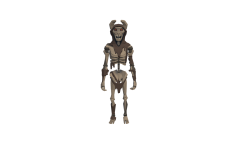 07_Chr_Skeleton_02