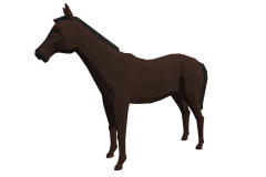 10_Horse_New