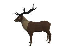 14_Stag_New