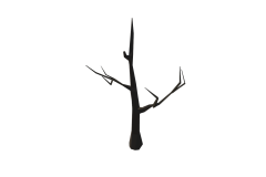 27_SM_Generic_TreeDead_01