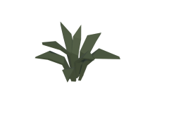 02_SM_Env_Fern_02