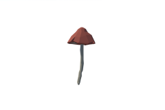 40_SM_Env_Mushroom_Giant_02