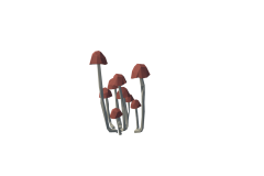 42_SM_Env_Mushroom_Small_01