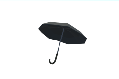 063_SM_Prop_Umbrella_01