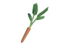 15_SM_Env_Plant_Carrot_01